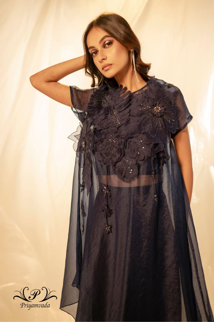 Overlay with bustier and pant