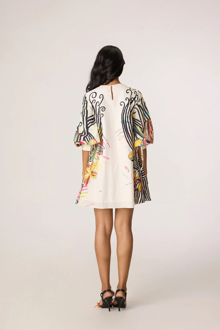 Nova Dress
