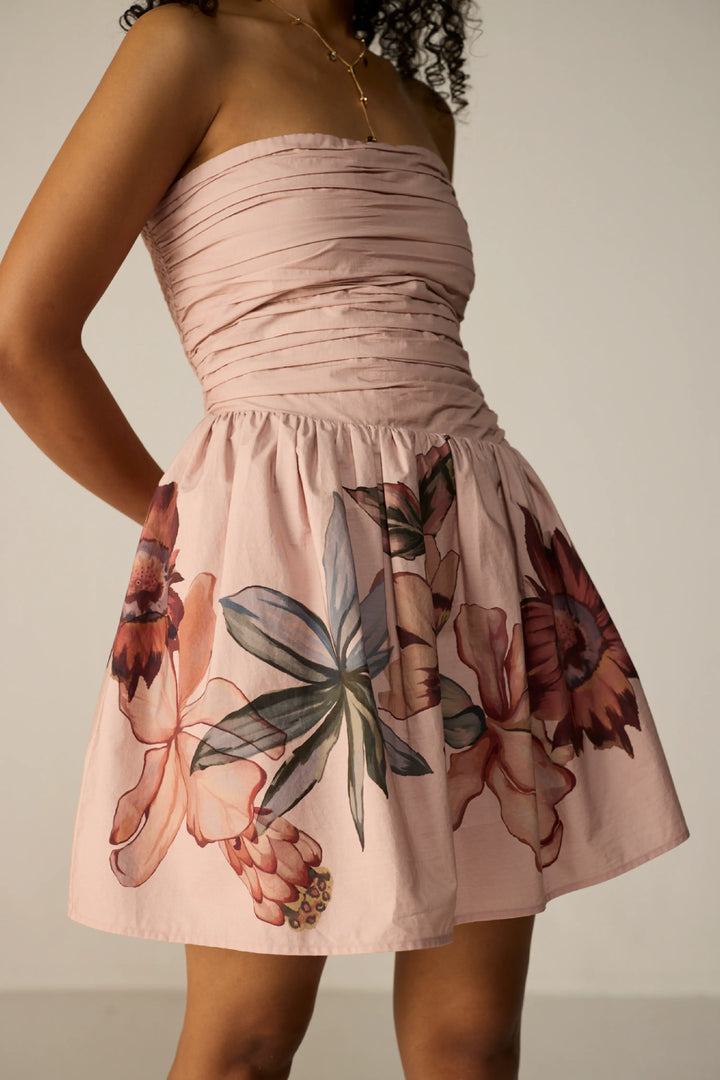 Evara Mini Dress Blush Meadow