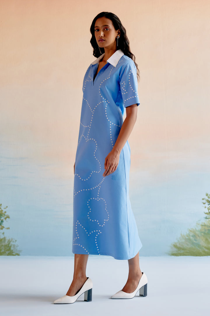 Blue Flora Dress