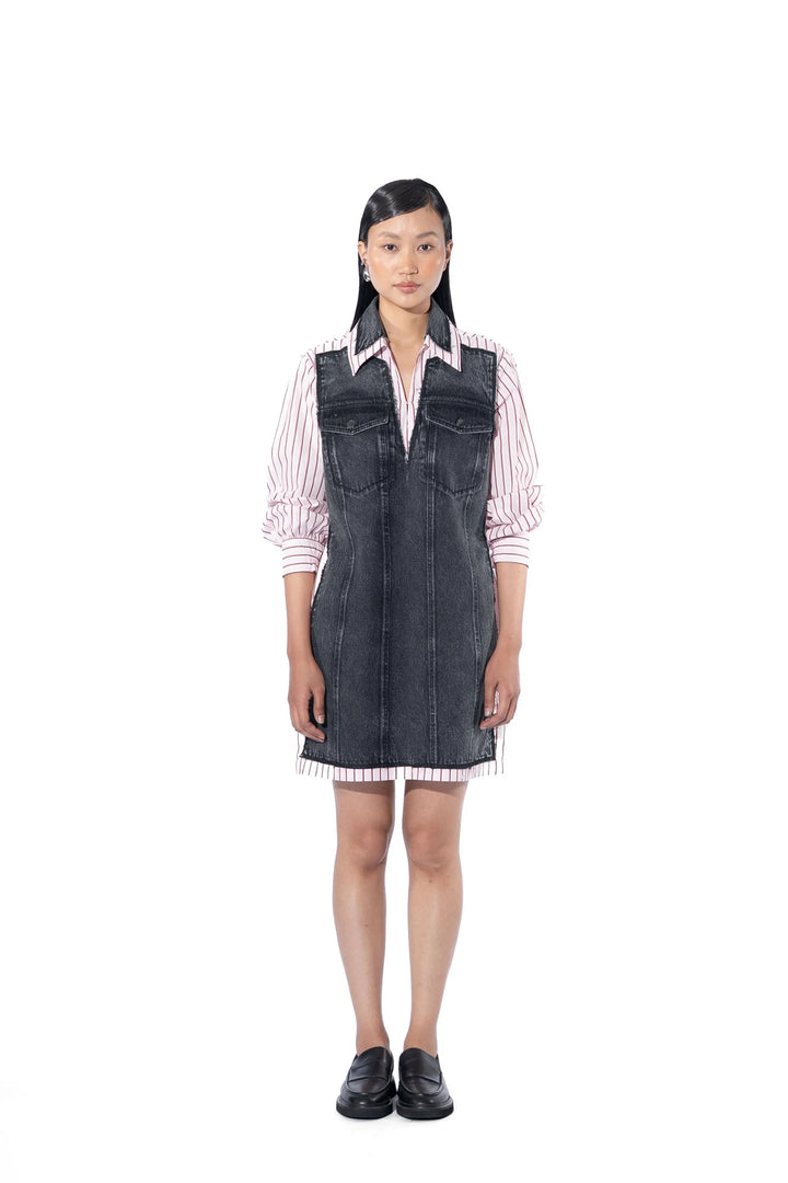 Porcela Denim Dress