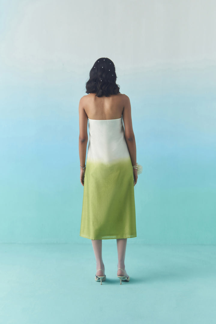 SUMMER FEILD TUBE DRESS