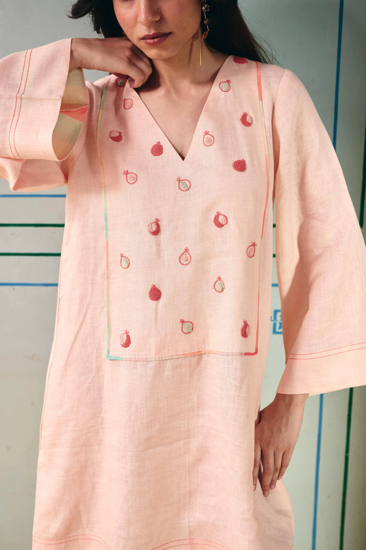 Bianca Embroidered Dress