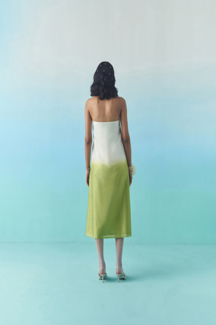 SUMMER FEILD TUBE DRESS